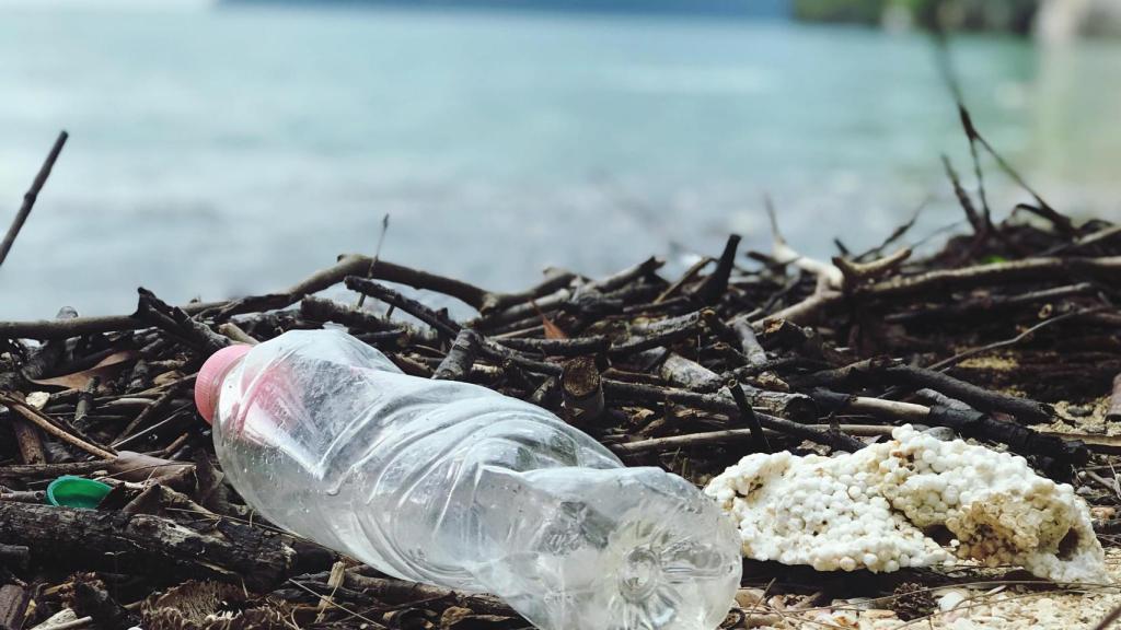 Marine ecosystems suffer the effect of not recycling plastics