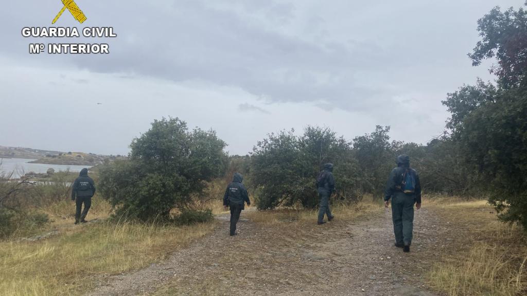 Batidas en los alrededores del Guajaraz, en Argés (Toledo)