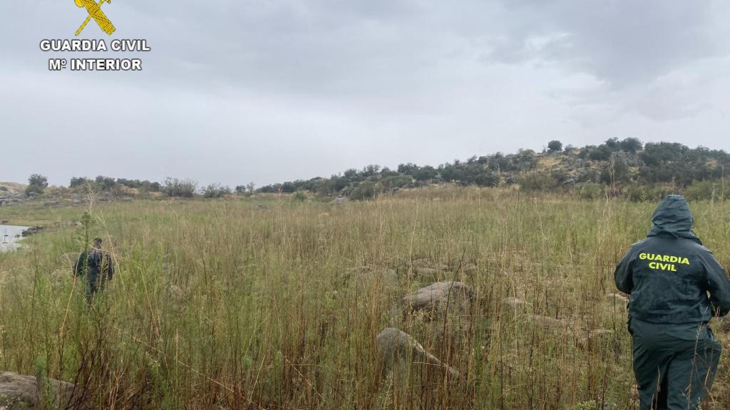 Batidas en los alrededores del Guajaraz, en Argés (Toledo)