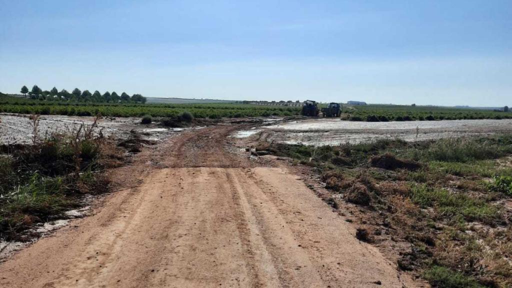 Inundaciones en campos de El Toboso (Toledo)