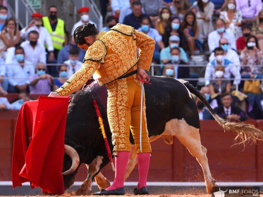 Un natural de Morante de la Puebla a un toro de Galache en la Feria de Salamanca 2021