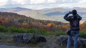 Los ecologistas, contra el Consell por eliminar la evaluación ambiental en planes como los forestales.