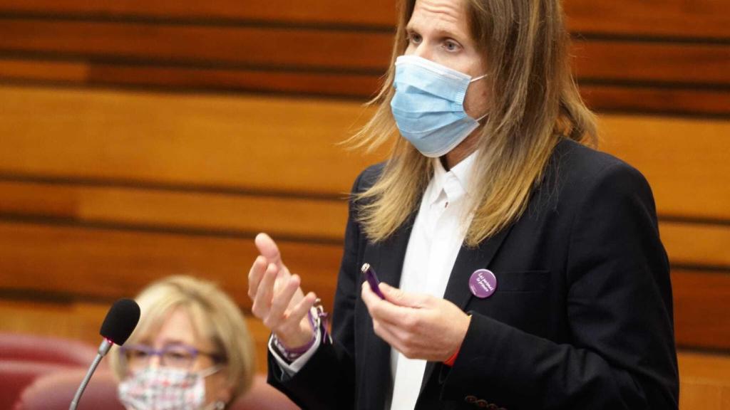 El líder de Podemos Pablo Fernández en las Cortes