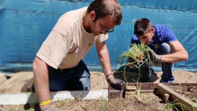 Foto: socialbiz.es