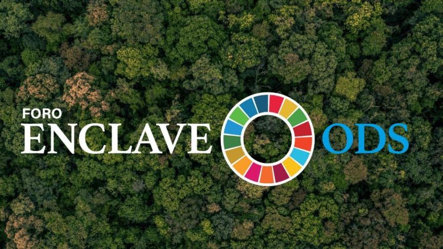 Siga el 'Foro Liderazgo joven para los ODS', con el que se presenta el ...