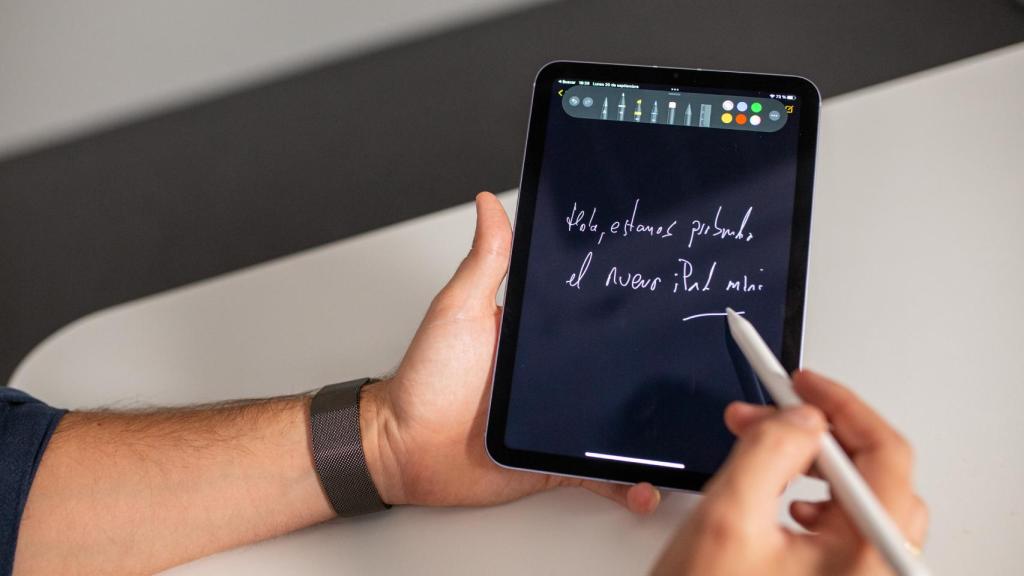 iPad mini