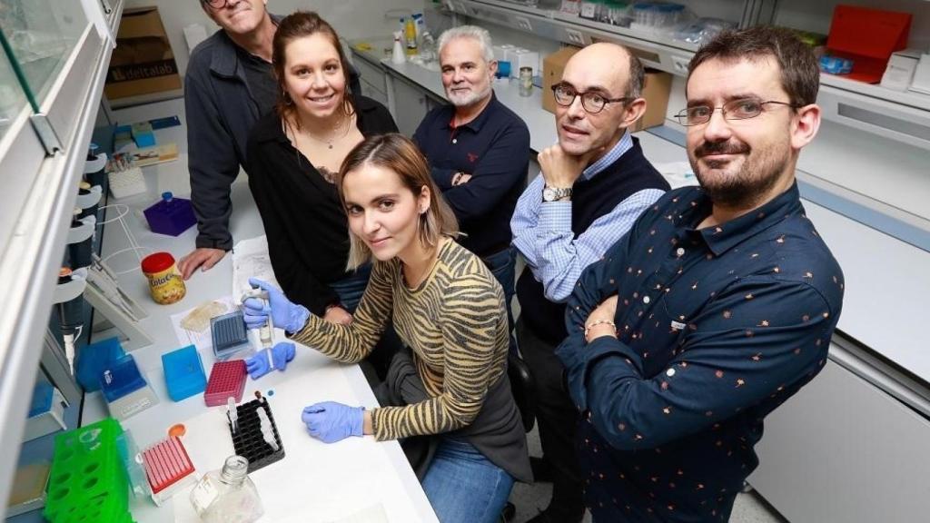 En primer plano, David Bernardo, junto al equipo de investigación del IBGM, que lidera Eduardo Arranz (fondo)