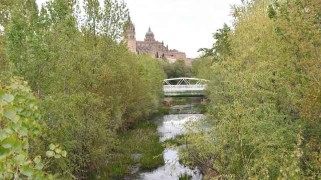 El río Tormes, patrimonio natural y turístico de Salamanca