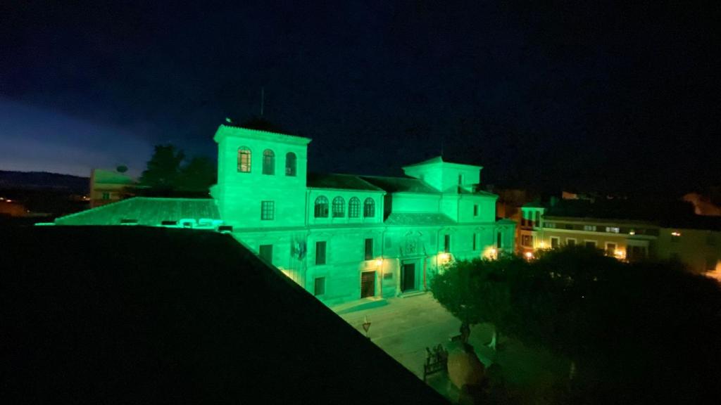 El edificio de la Diputación de Zamora se ilumina de verde por los 'otros ángeles verdes'
