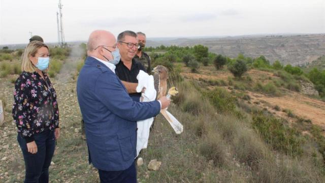 Suelta del águila en Jorquera (Albacete) con una bonita historia detrás de la rapa