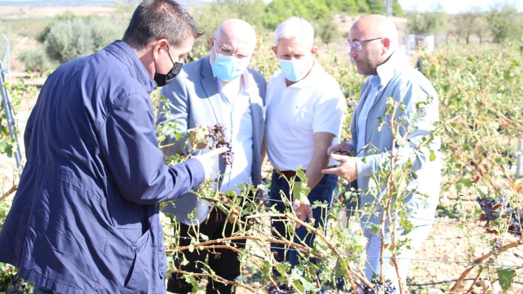Visita institucional este domingo a las zonas afectadas