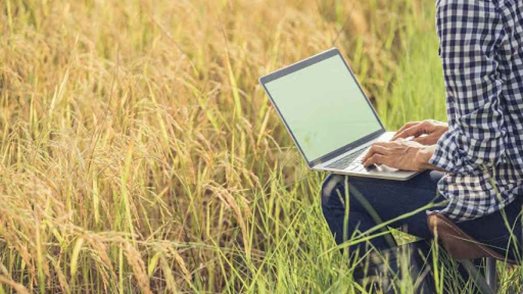 Una persona utilizando un ordenador portátil en el campo.
