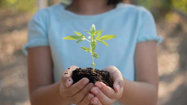 Cómo cuidar el medioambiente desde casa