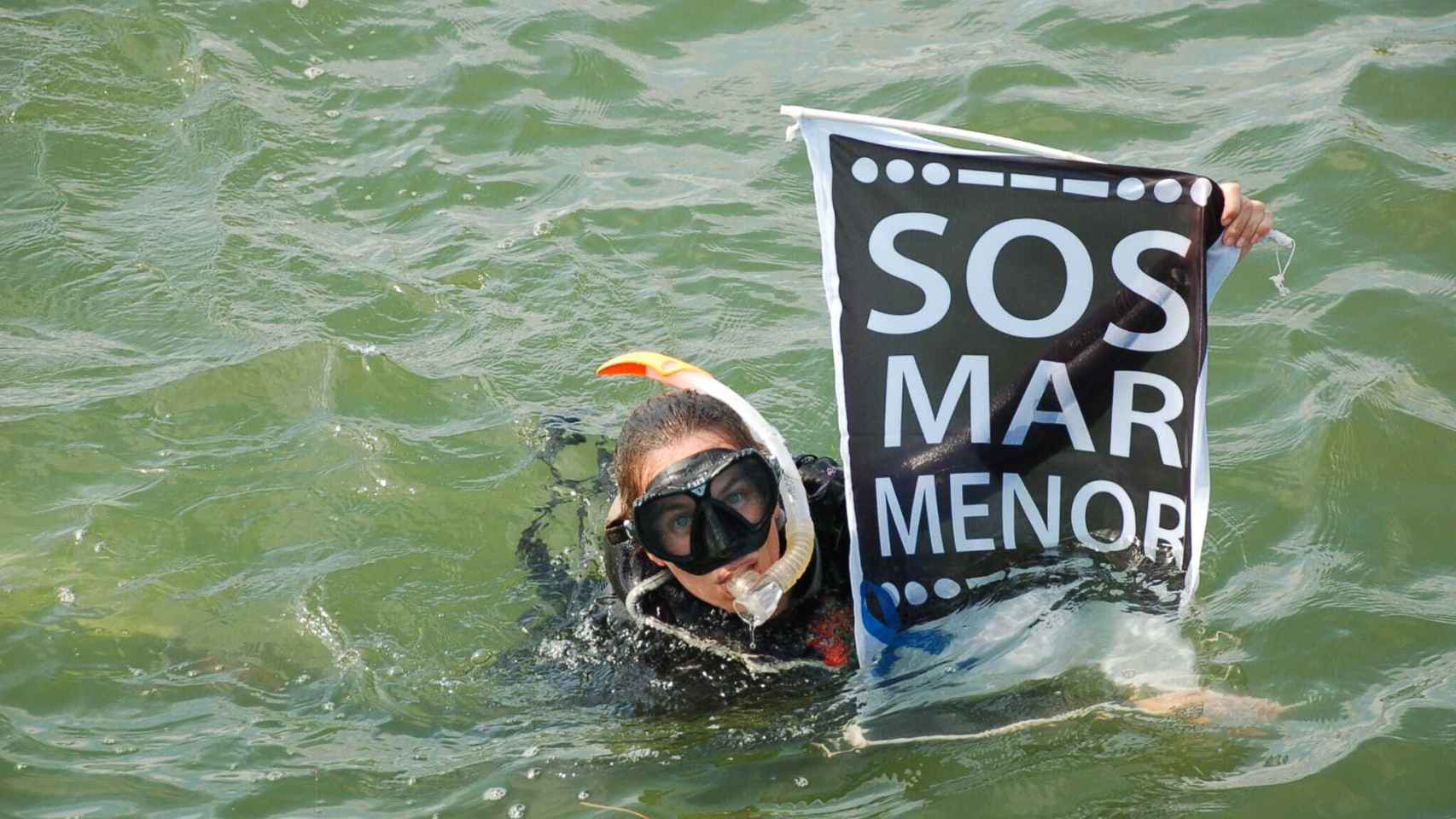 Una buceadora de Ecologistas en Acción, este domingo, en una inmersión en el Mar Menor.