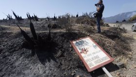El incendio en Sierra Bermeja ha dañado casi 10.000 hectáreas.