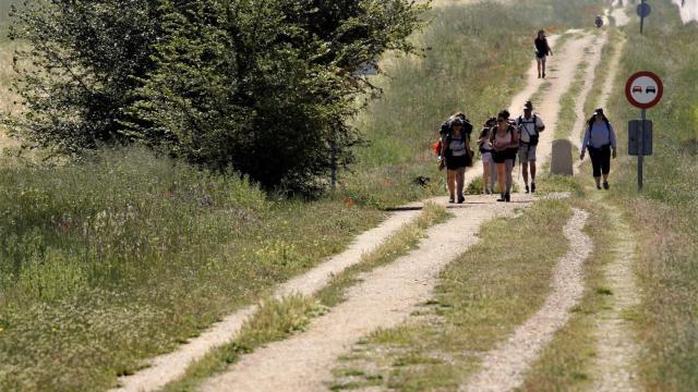 Camino de Santiago