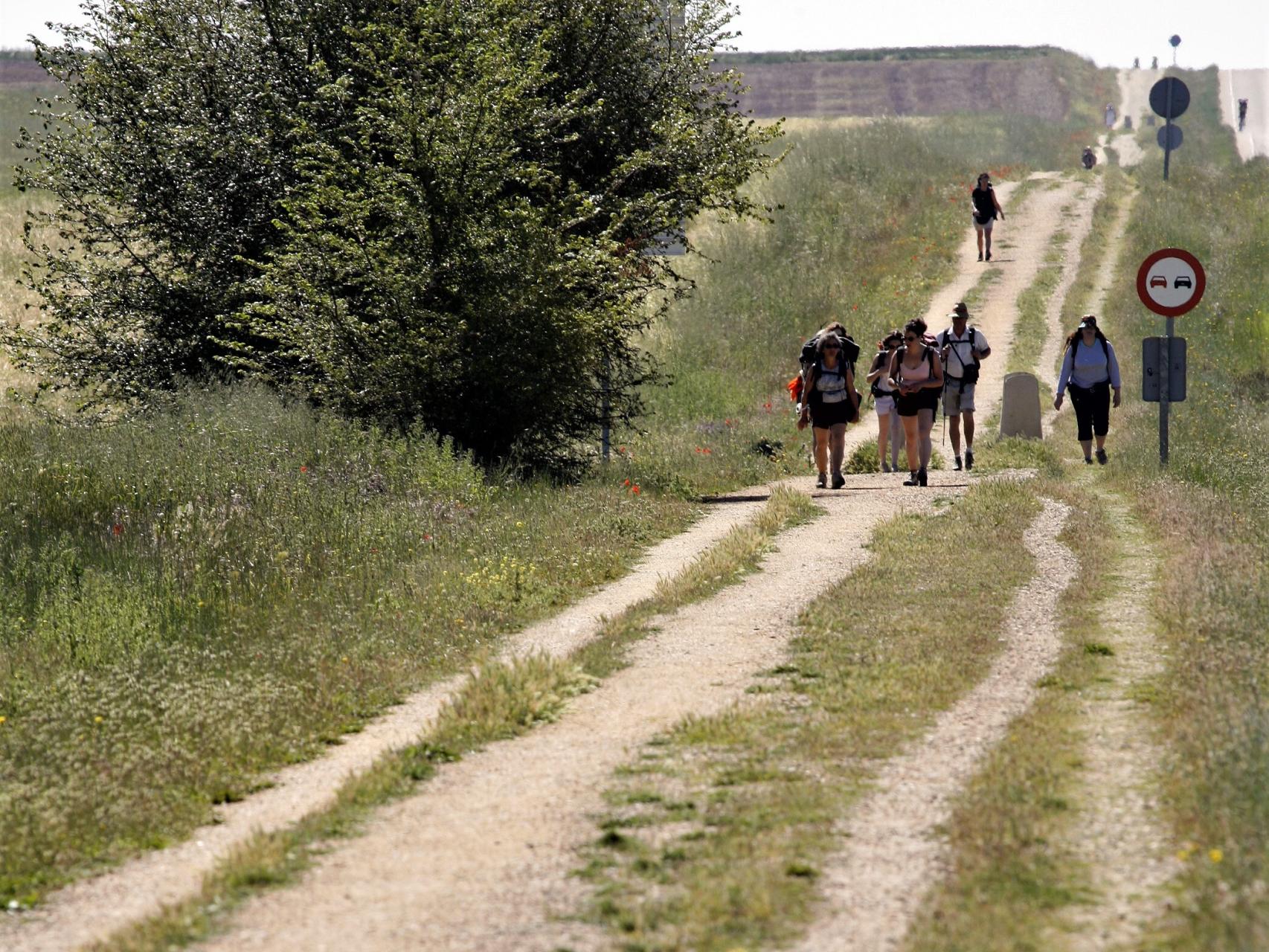 Camino de Santiago