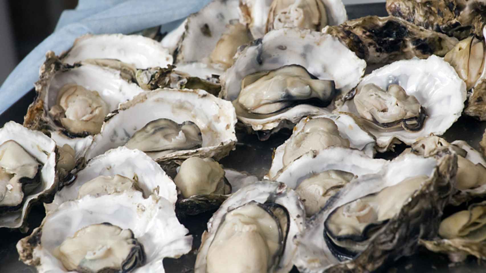 La ostra, el superalimento bajo en calorías que ayuda a reducir el nivel de colesterol