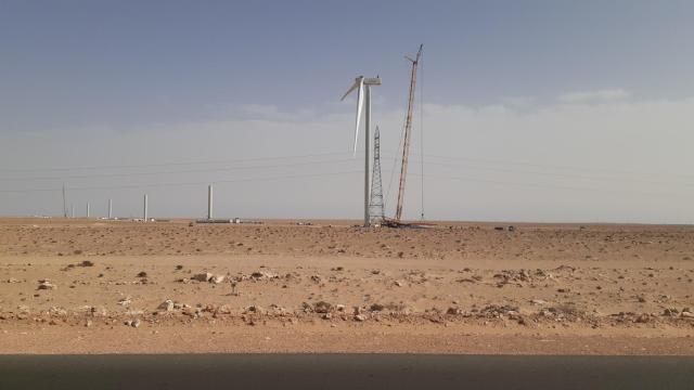 Parque eólico Aftissat, propiedad del rey Mohamed VI, según Western Resource Watch.