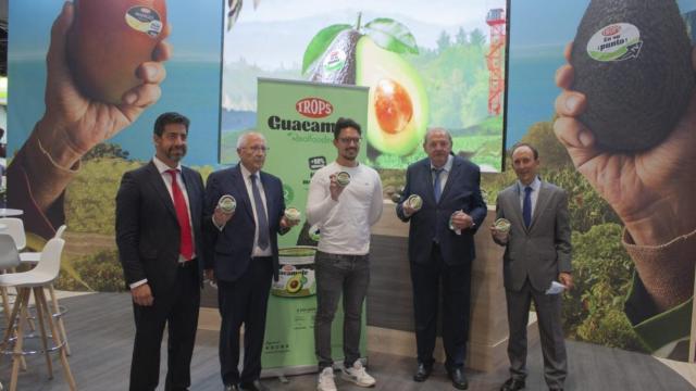 Presentación del guacamole