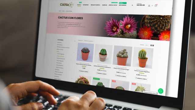 Una imagen de la web de La tienda del Cactus.