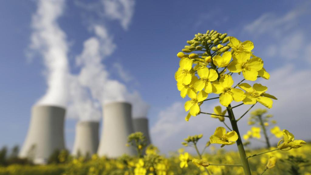 Un campo de mostaza frente a las torres de refrigeración de la central nuclear de Temelin.