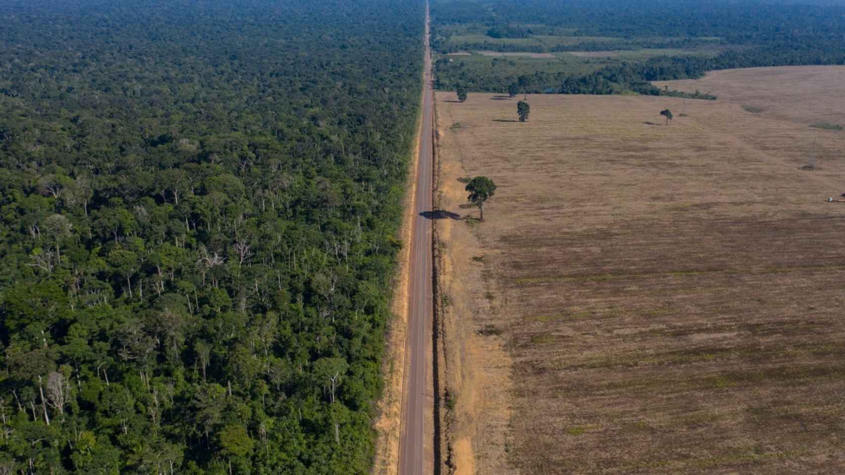 Jair Bolsonaro está promoviendo la destrucción masiva de la Amazonia con los ojos bien abiertos, dice el fundador de AllRise.