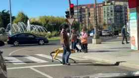 Mujer paseando al perro Spot por León