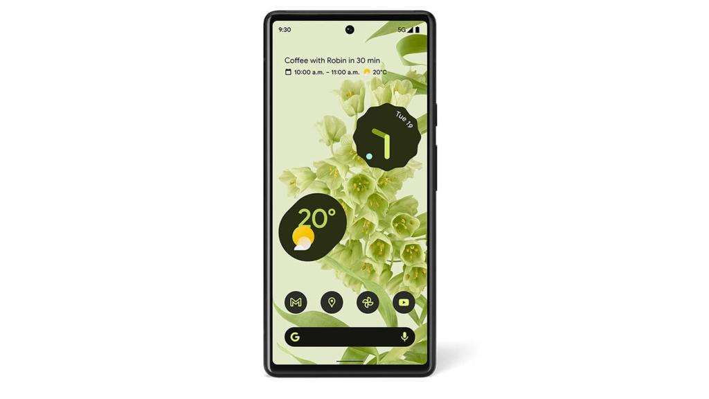 Google Pixel 6