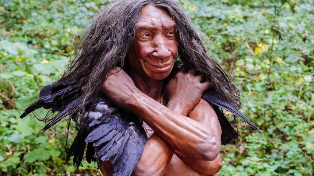 Reconstrucción de un 'Homo neanderthalensis'.