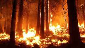 Imagen de archivo de un incendio forestal