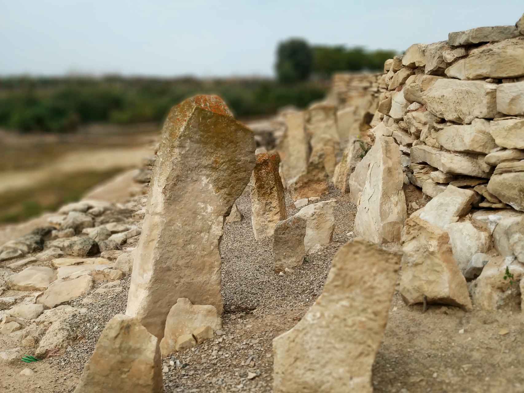 Piedras hincadas en el yacimiento Els Vilars.