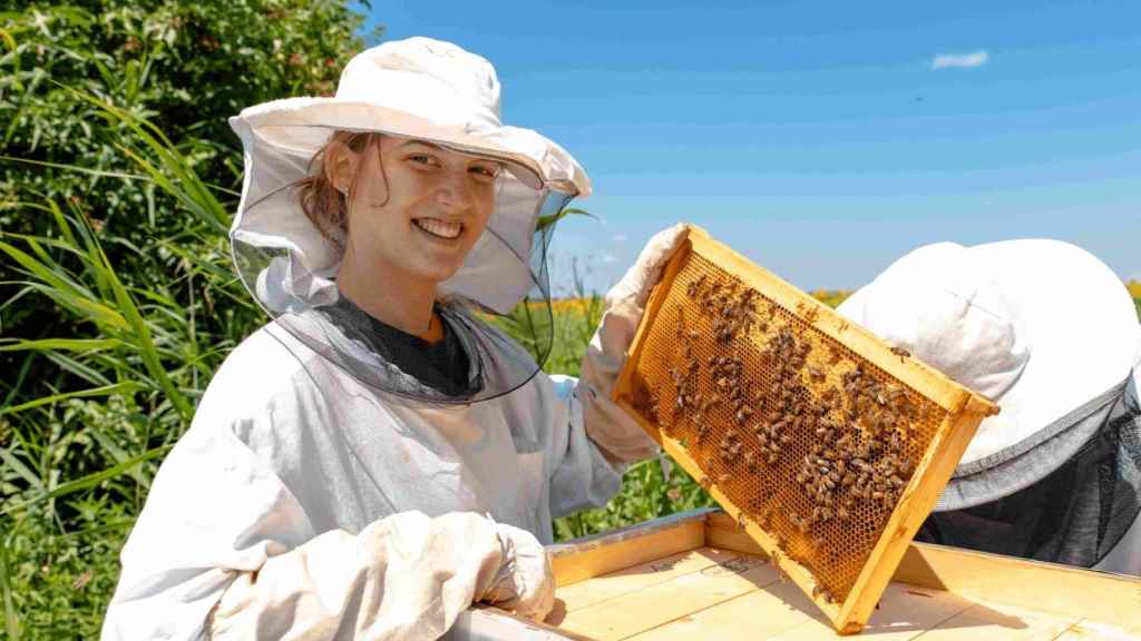 Mujer recolectando miel en el campo.