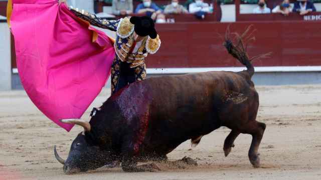 Corrida de toros en Las Ventas.