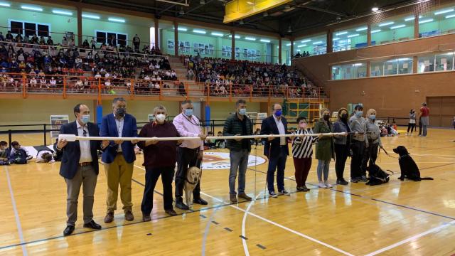 La ONCE monta un “bastón blanco” gigante y una exhibición de perros guía en Cuenca