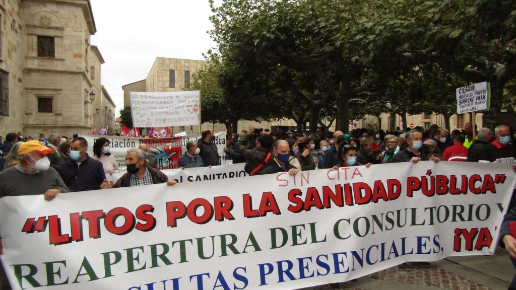 PSOE de Zamora en la manifestación
