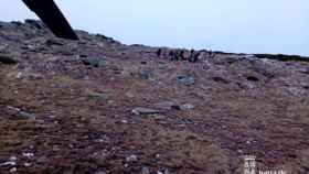 Rescate en la cumbre del Pico del Lobo