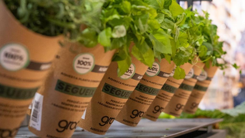 La empresa prevé que sus nuevas plantas con proteína vegetal estén en el mercado en 2022.