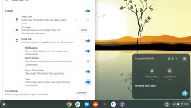 Chrome OS se actualizará dentro de poco