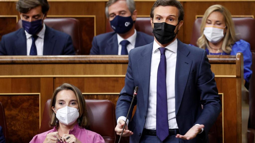 Pablo Casado, en el Congreso.