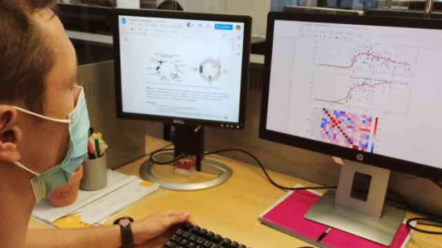 Un técnico analiza un proceso de cría del  llamado 'gusano de la harina' mediante un programa informático.
