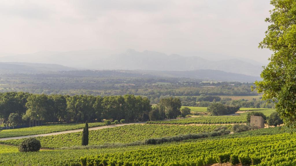Provenza, tierra de rosados.