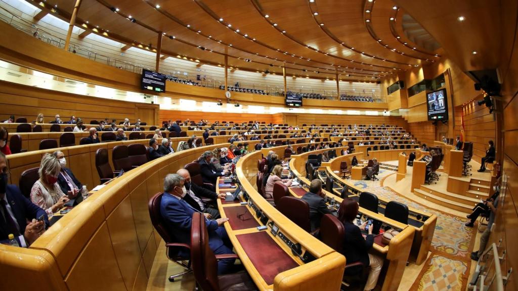 El Pleno del Senado.