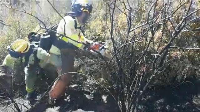 Estabilizado un incendio forestal en el término municipal de Ojén, Málaga