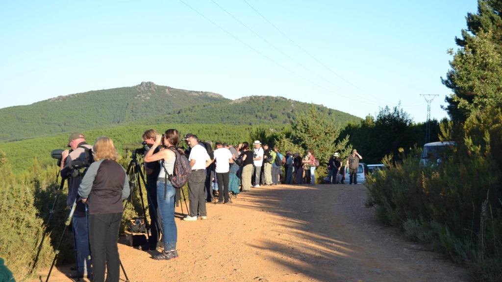 Pista de Linarejos