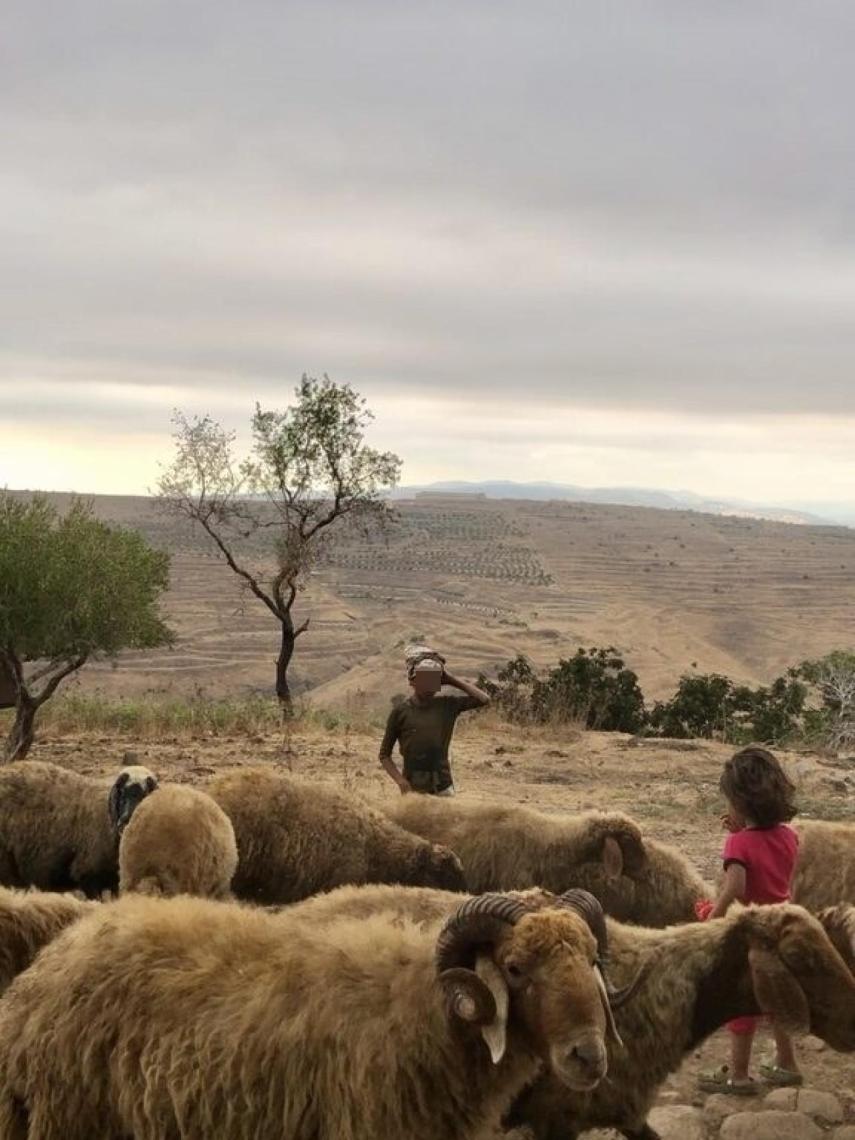 Niños de una tribu beduina en la frontera con Siria.