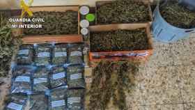 Sorpresa en una casa de Illescas: el olor llevar a la Guardia Civil a incautar 32 kilos de droga