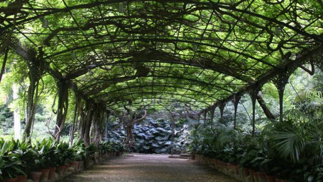 Uno de los escenarios del Jardín Botánico de la Concepción, en Málaga.