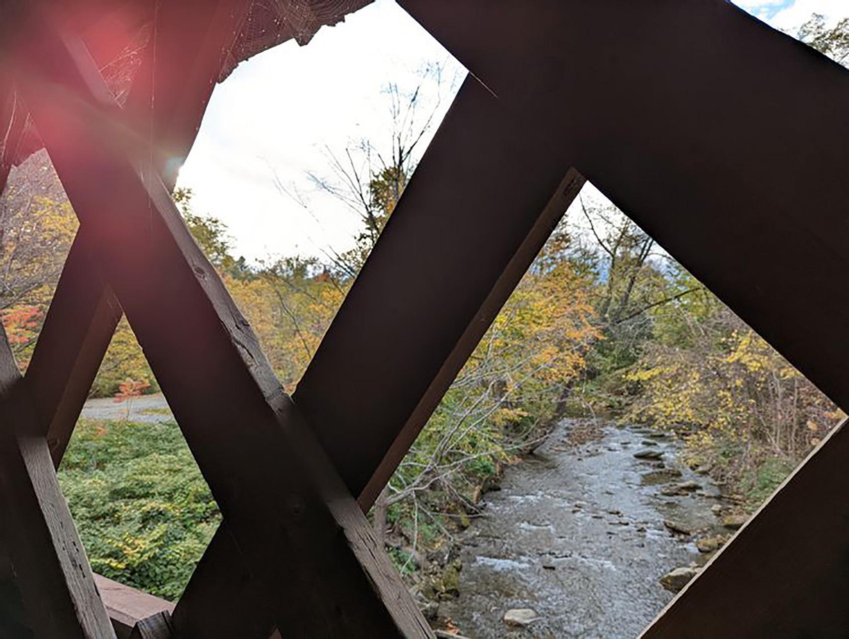 El efecto lens flare en el Pixel 6 Pro