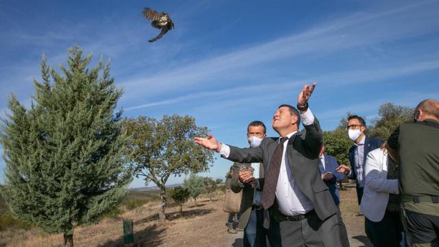 Castilla-La Mancha integra sus 11 centros de Recuperación de Fauna Silvestre